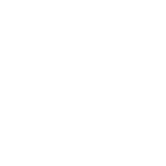 The Delifair : 
